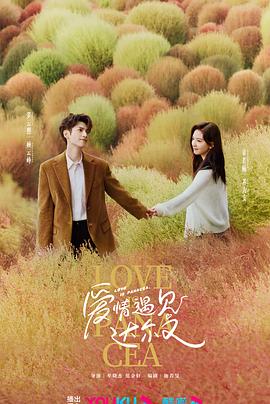 营口seo服务怎么选